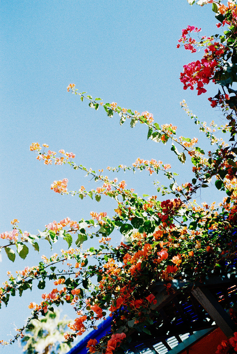 63411RLbre030514-R5-171