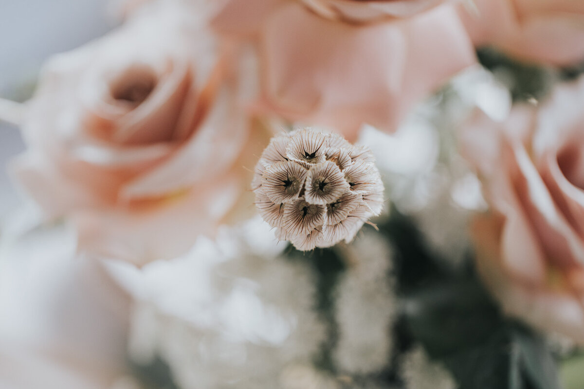 ReganStyledShoot0049