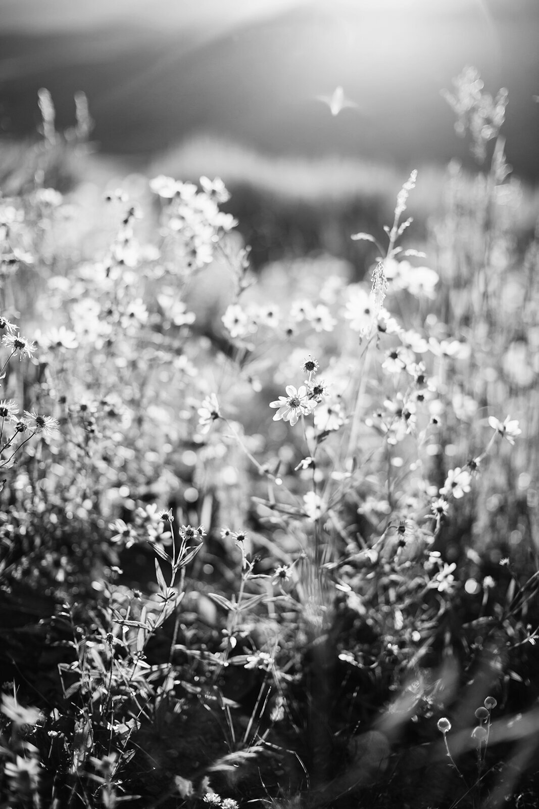 Crested_Butte_Wedding_070