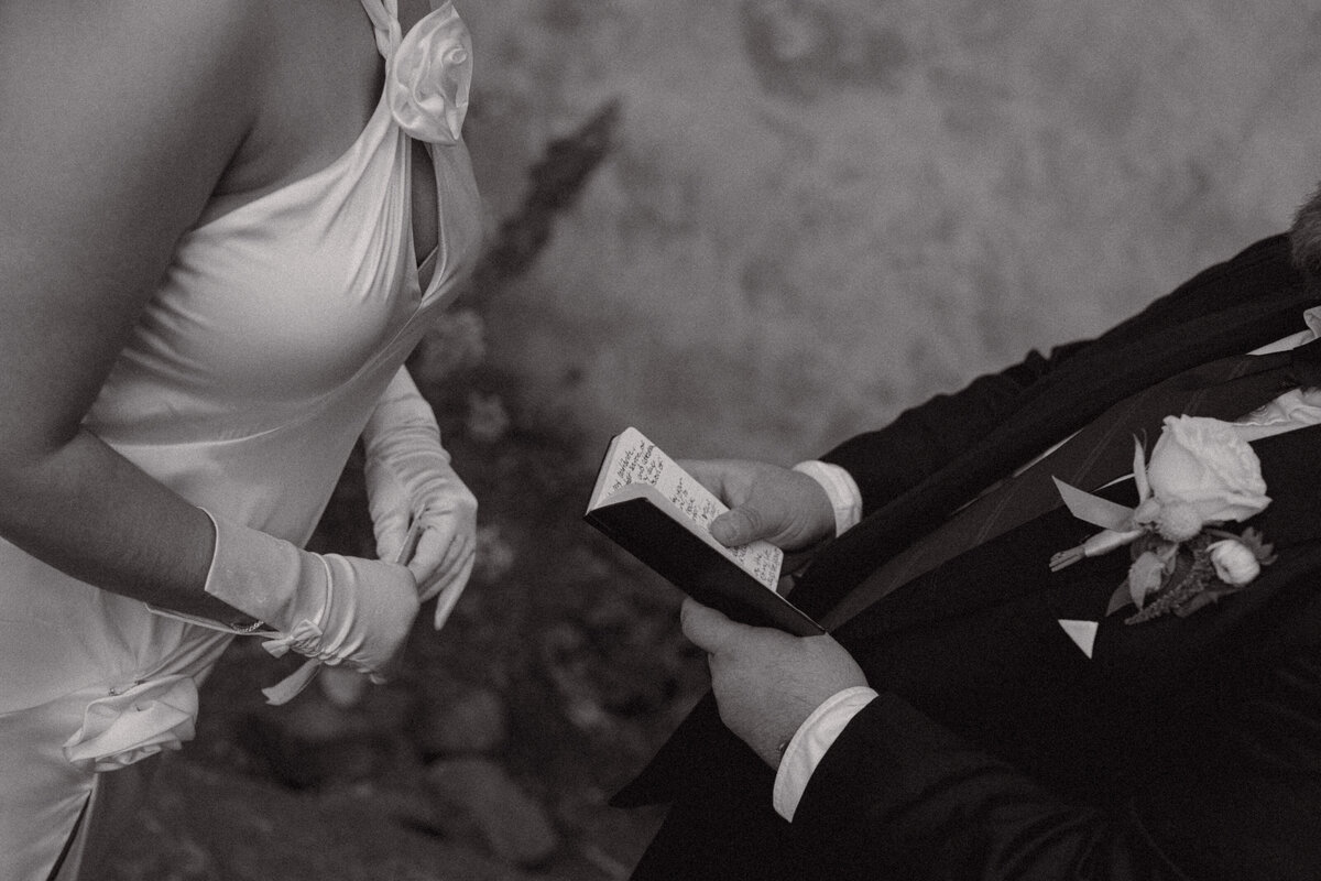 KiernanRomePhoto-Indira+Mike-161