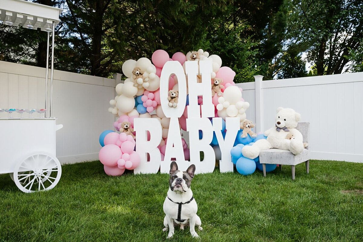 gender-reveal-party-109