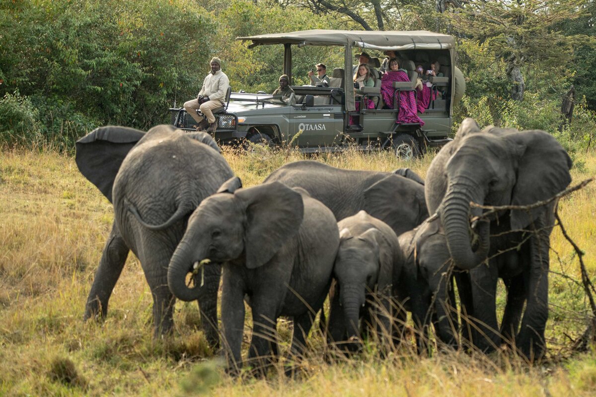 TAASA Safari (32)