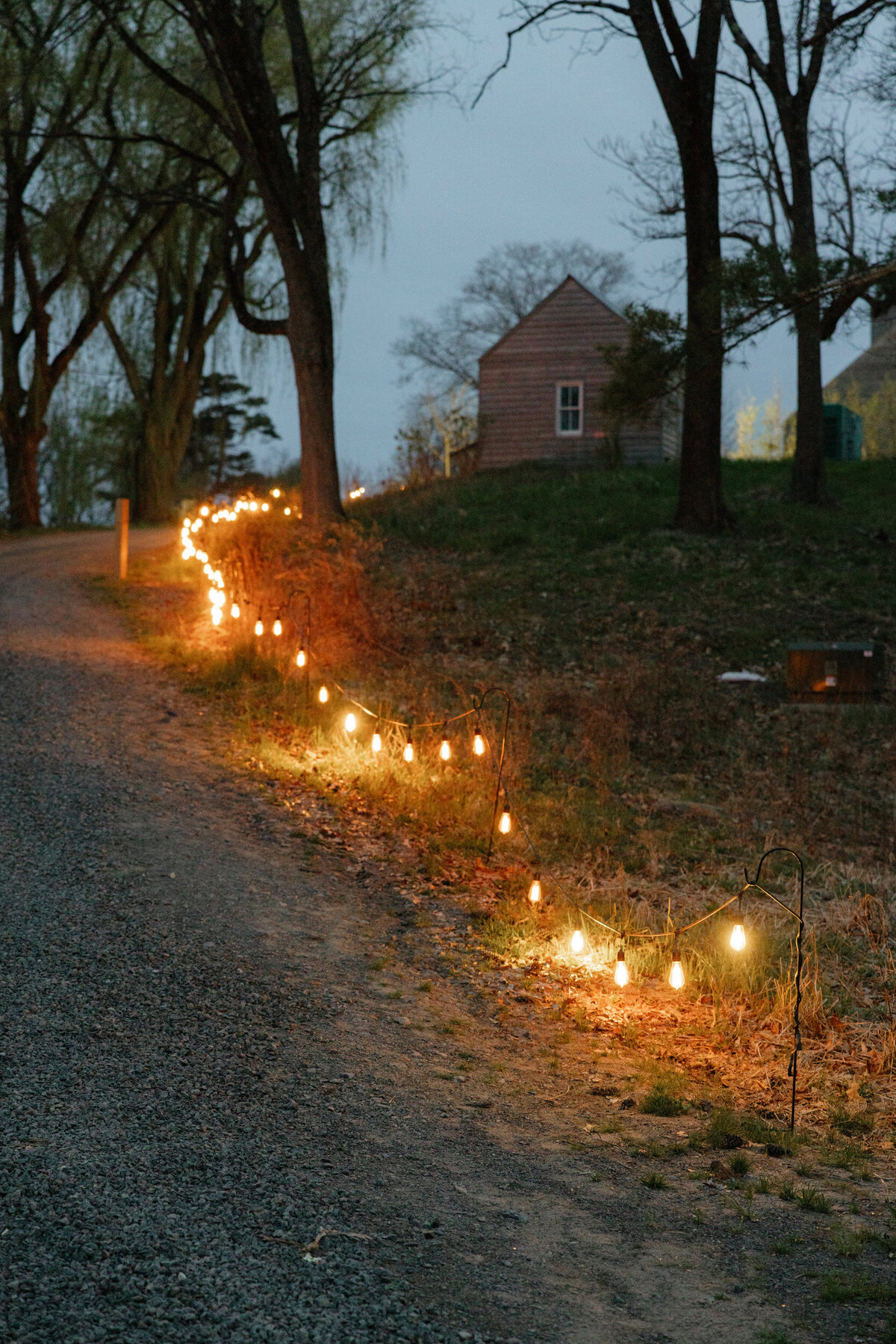 Inness_Wedding_Lev_Kuperman_0104