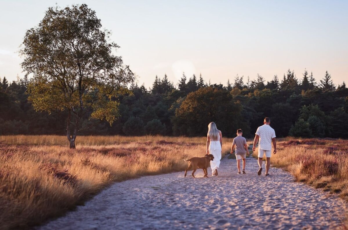 Sfeervolle foto van een gezin dat met hun hond door een heidelandschap loopt, tijdens het gouden uur.