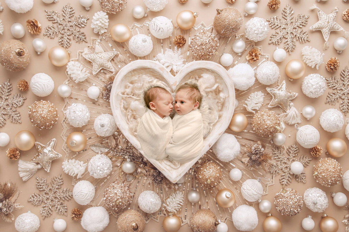 Nicole Hollenkamp Photography LLC - White Heart Christmas copy