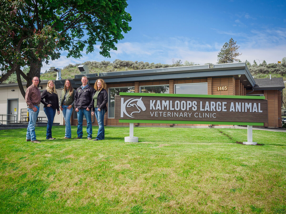 Team of Veterinarians at Kamloops Large Animal Veterinary Clinic