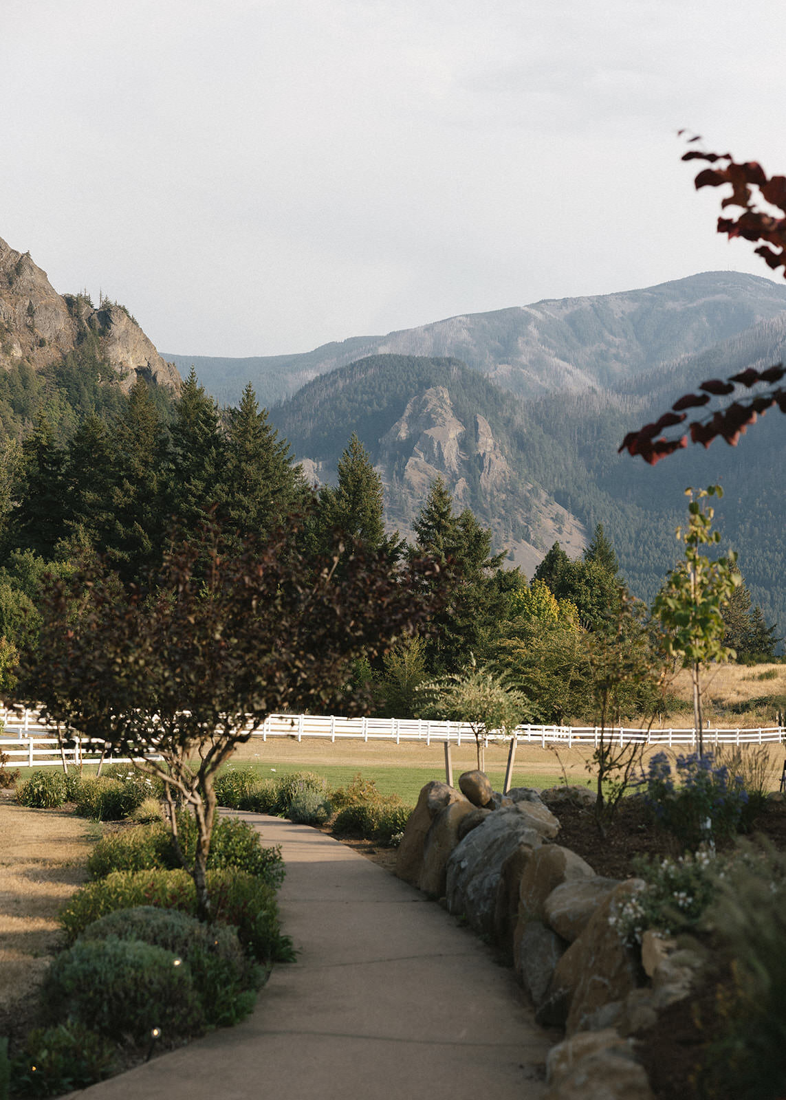 Hood-River-Oregon-Wedding-1480