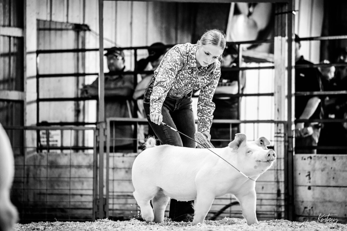 girl showing chester hog