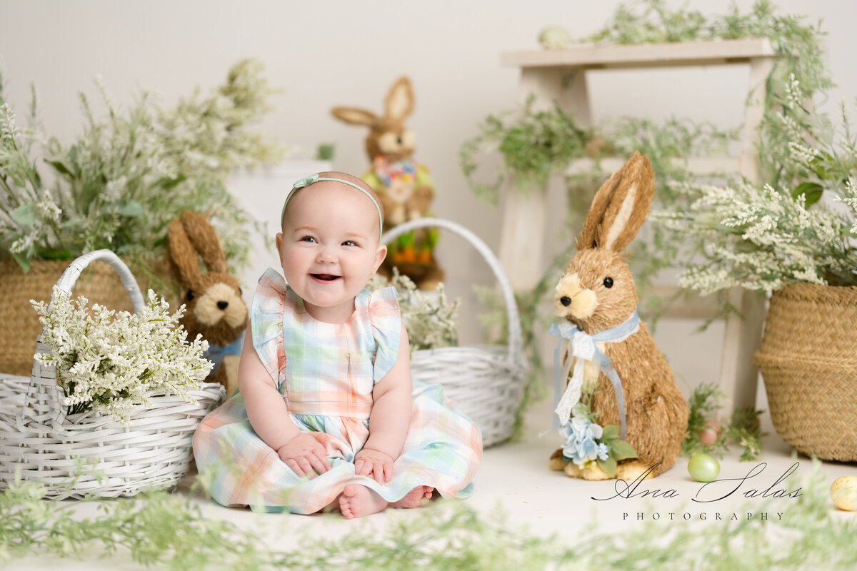 bunnies
