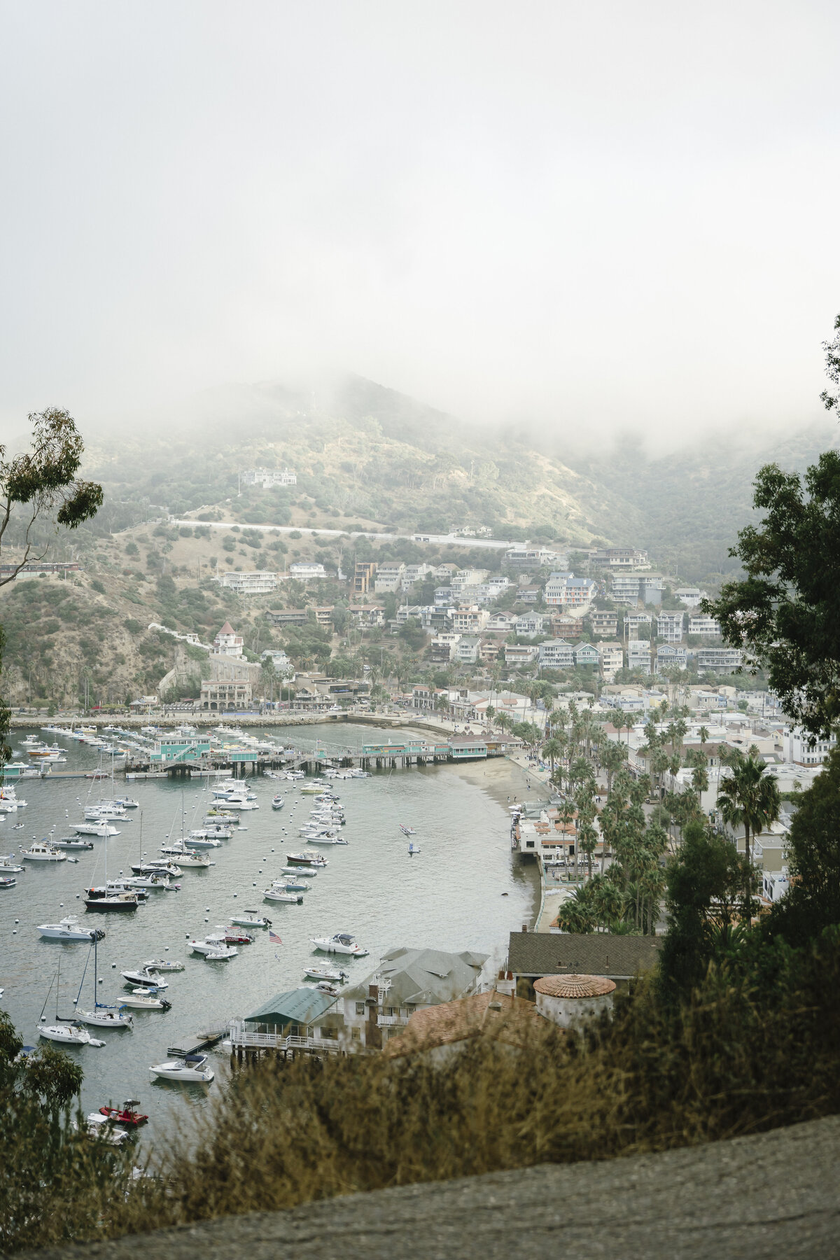 Catalina Island Wedding Photographer