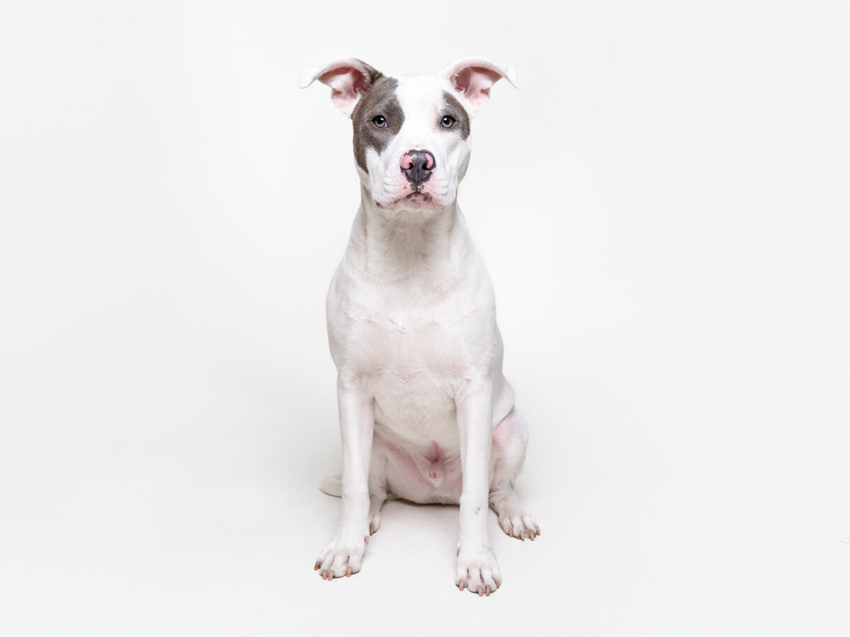 Website3500-DSC00304