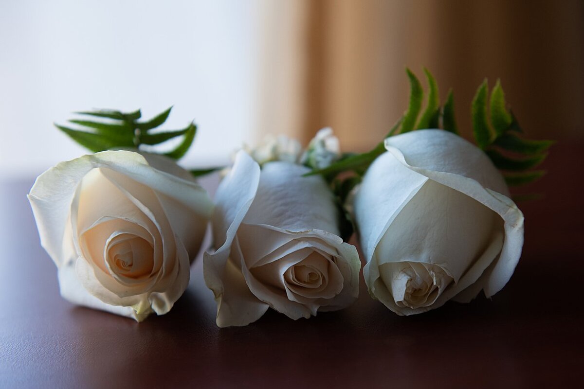 Off-white rose Groom's boutonnieres