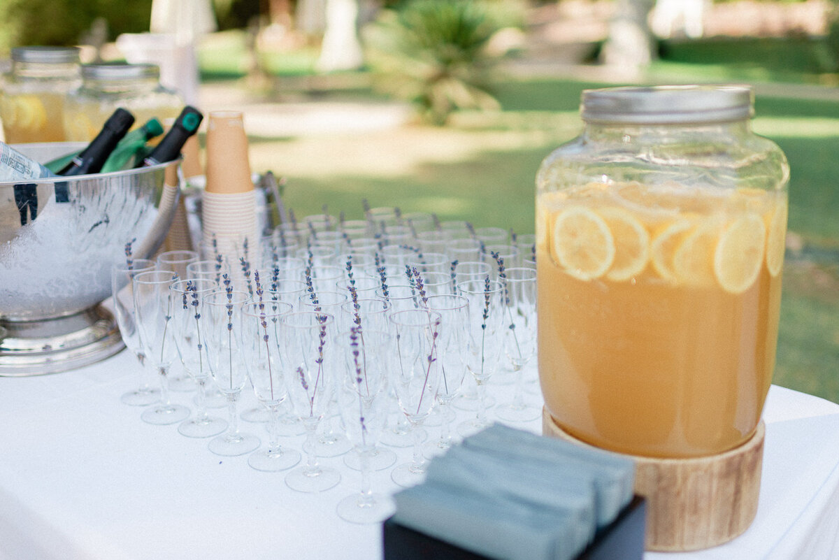 chateau-robernier-wedding-42