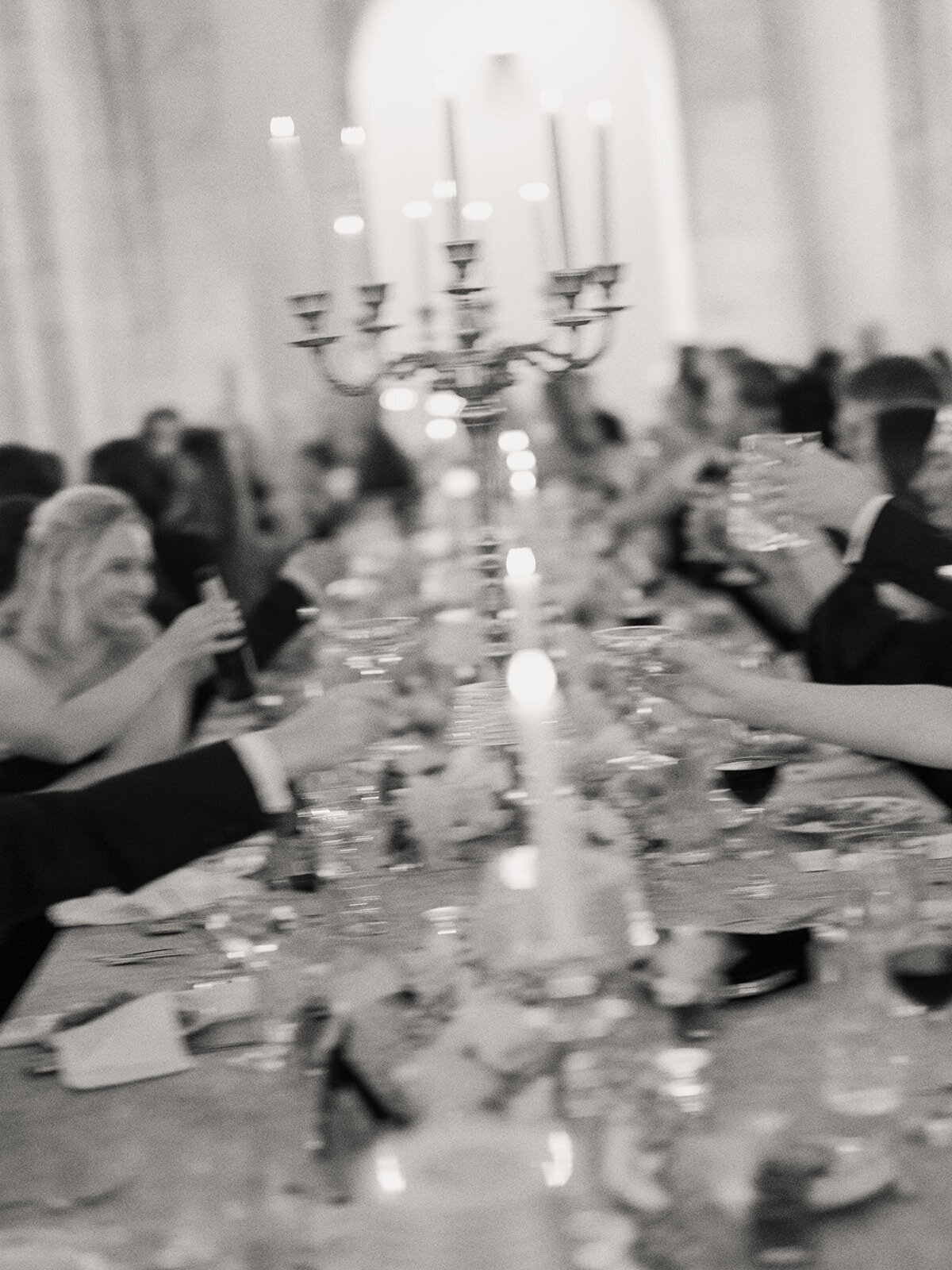 David & Diana Reception Part One-221-3