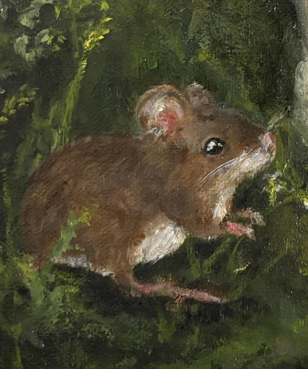 mouse