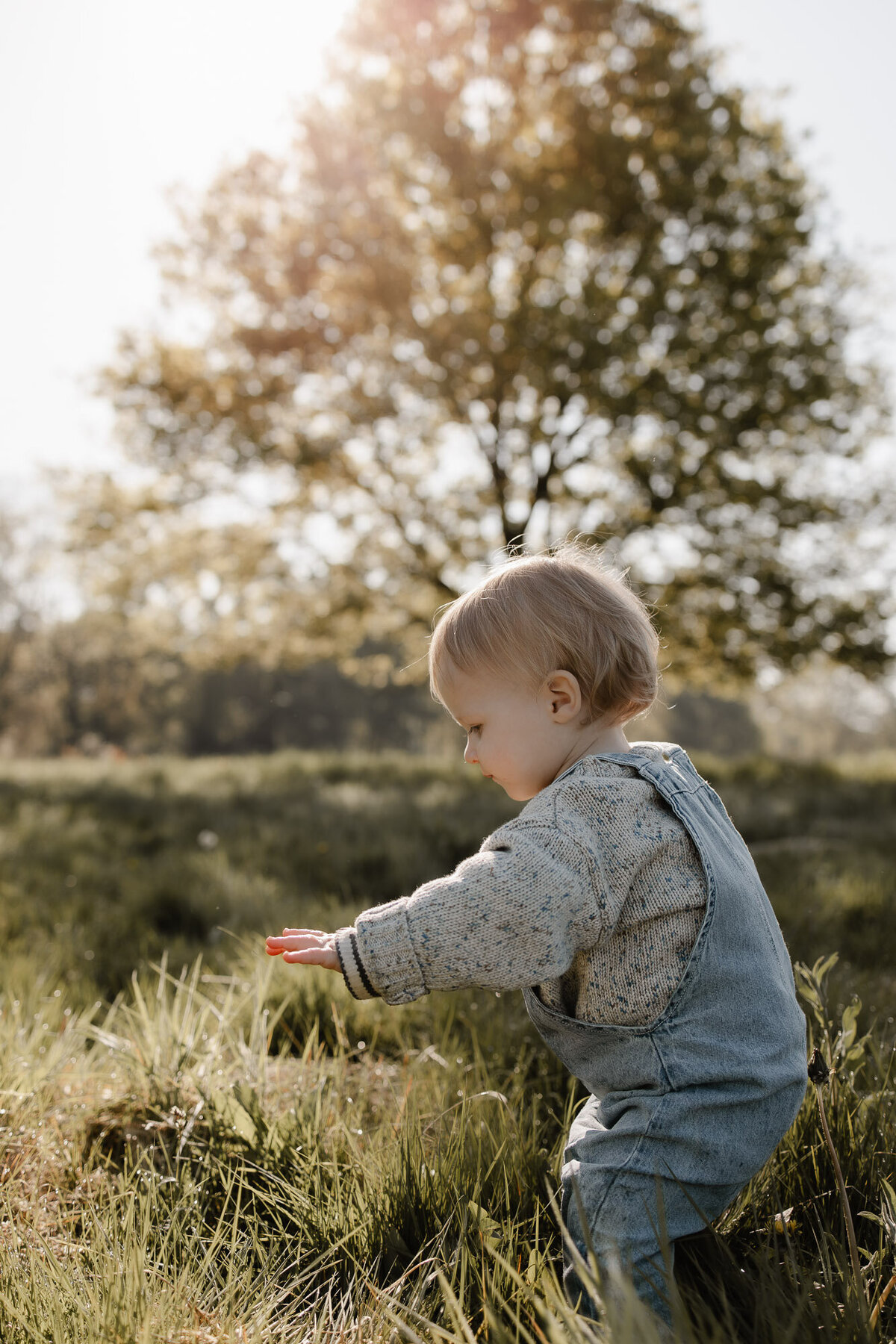 fotoshoot-zwangerschap-mechelen-31