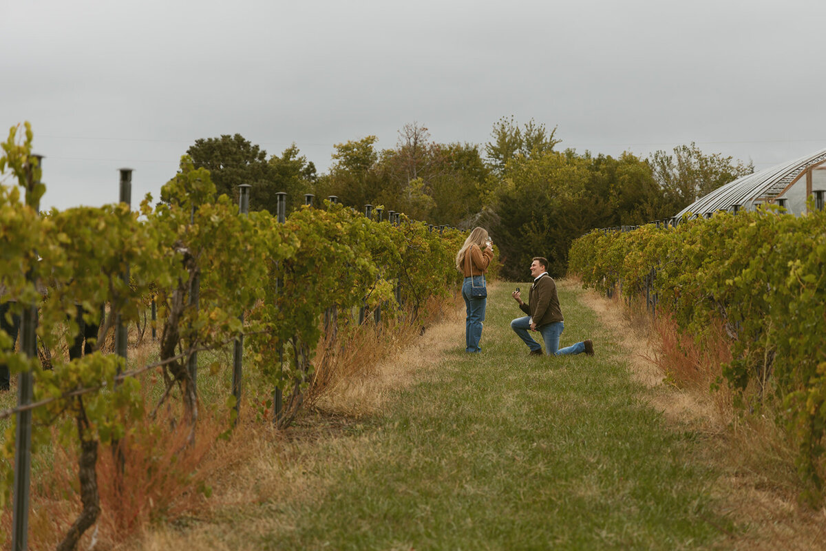 Winery Engagement - A+J-20