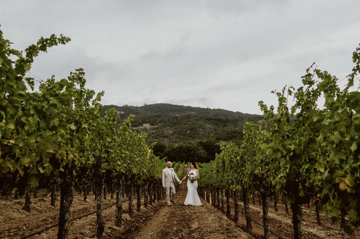 Sonoma Winery Elopement Meg Cooper Photo - 3