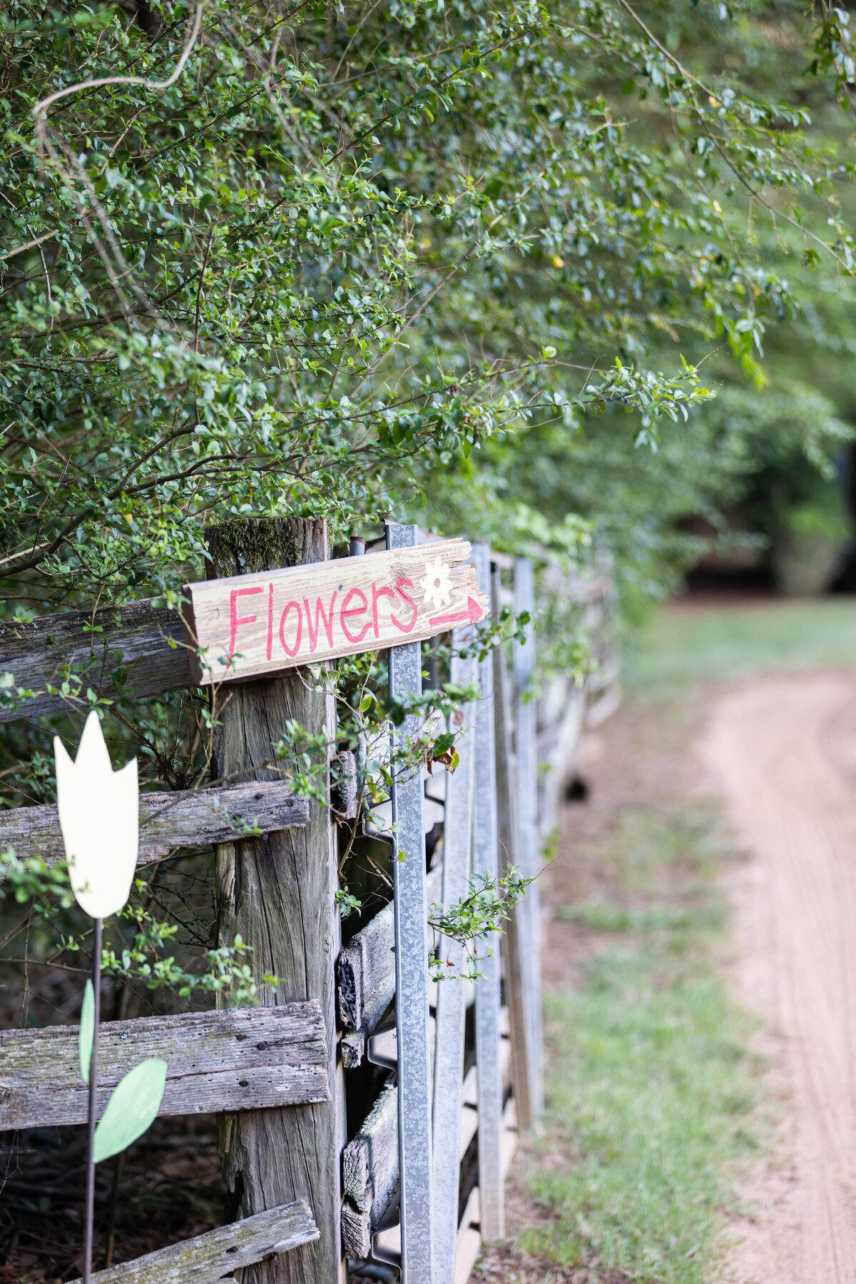 Cedar Hill Flower Farm Studio web