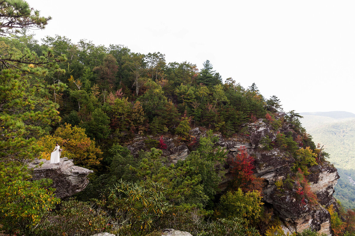 Wiseman's-View-NC-Elopement-28