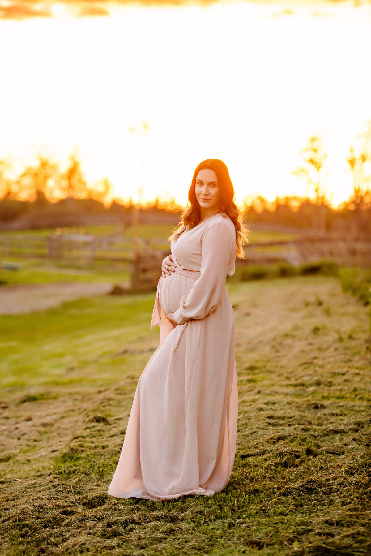 pregnant woman wearing a pink dress on a farm with the golden sunlight behind her for her outdoor maternity photos in Burlington, ON