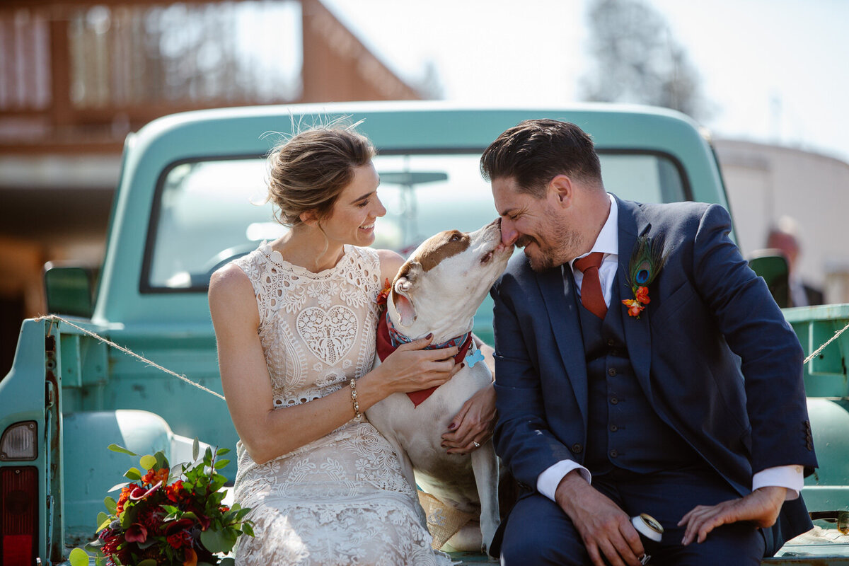Ali and Brian sit in the back of a truck with their dog.
