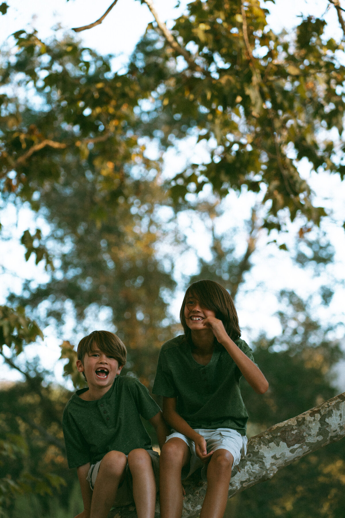SC109641-Edit-film