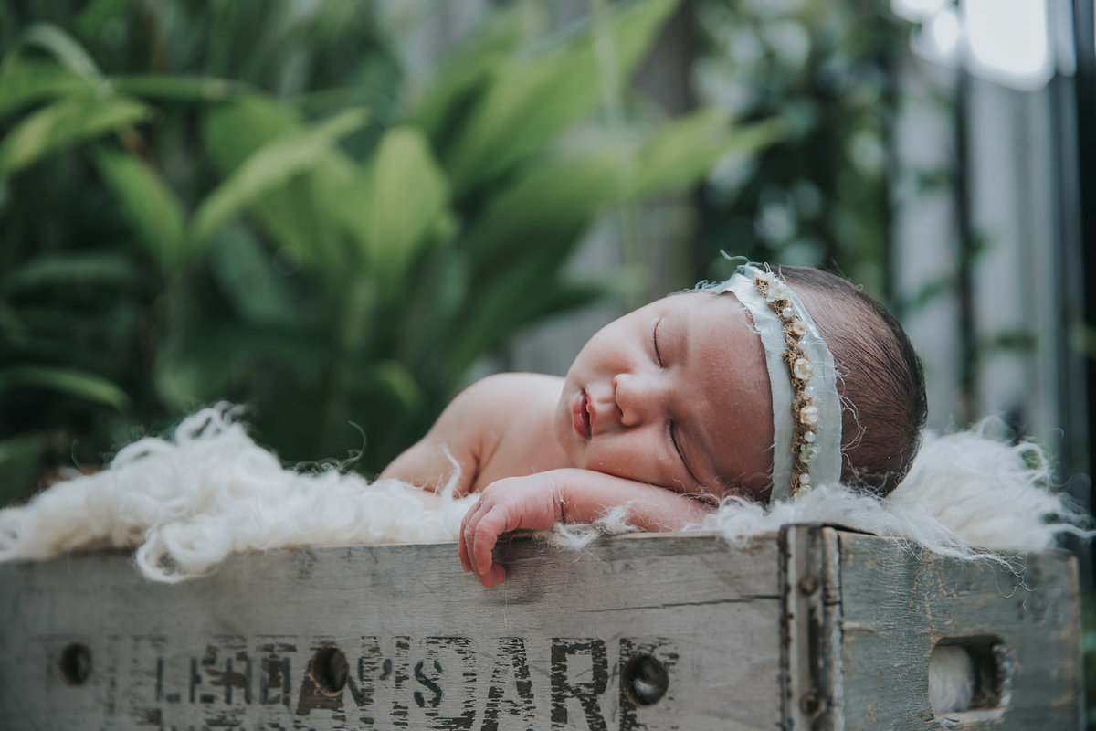 raleigh-Newborn-photographer-torrey61315