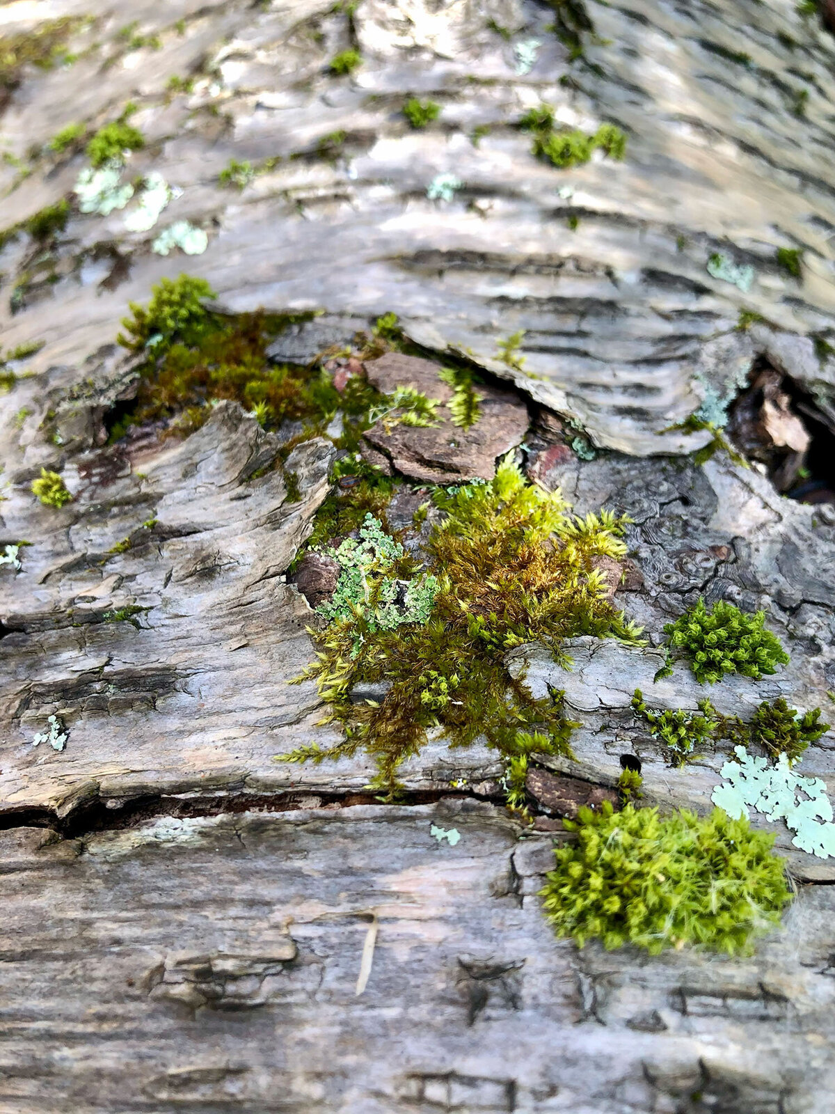 CCC_Estuary_48