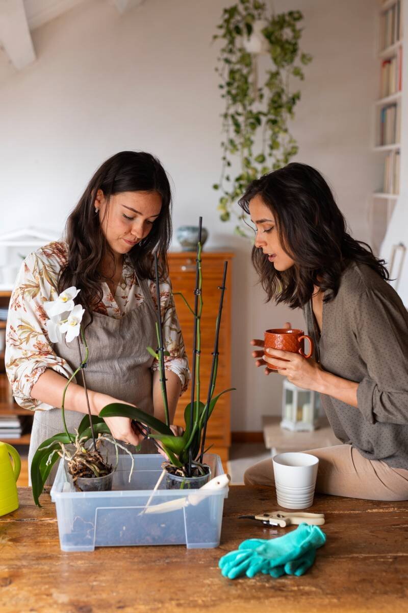 women-taking-care-exotic-orchid