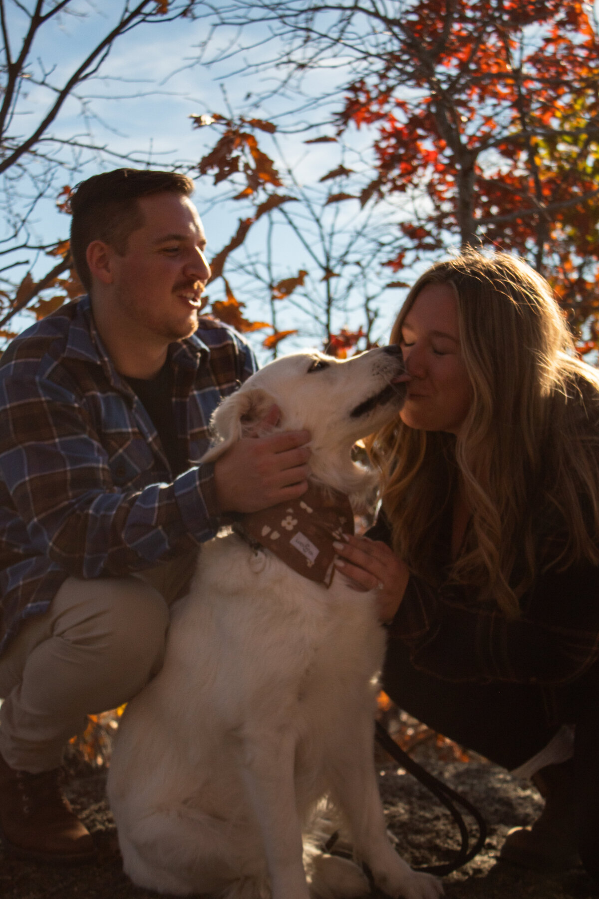 Surprise Engagement in Connecticut