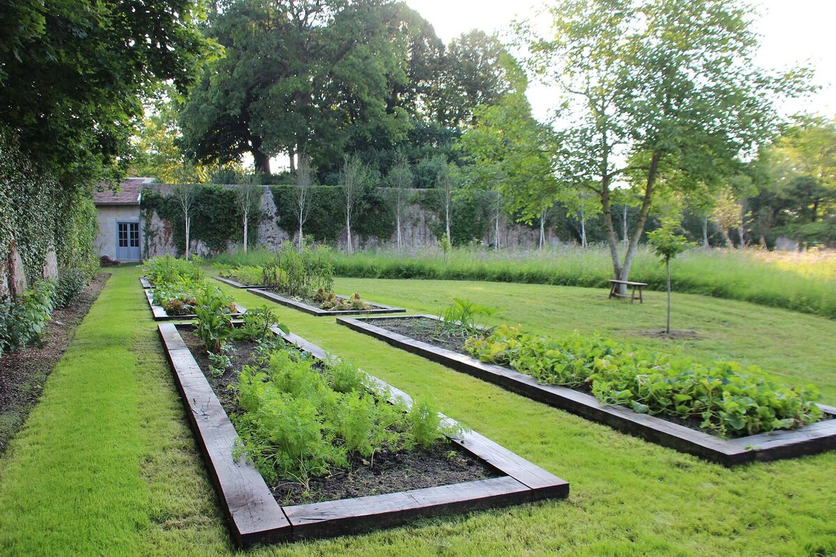 Vegetable plots in a garden