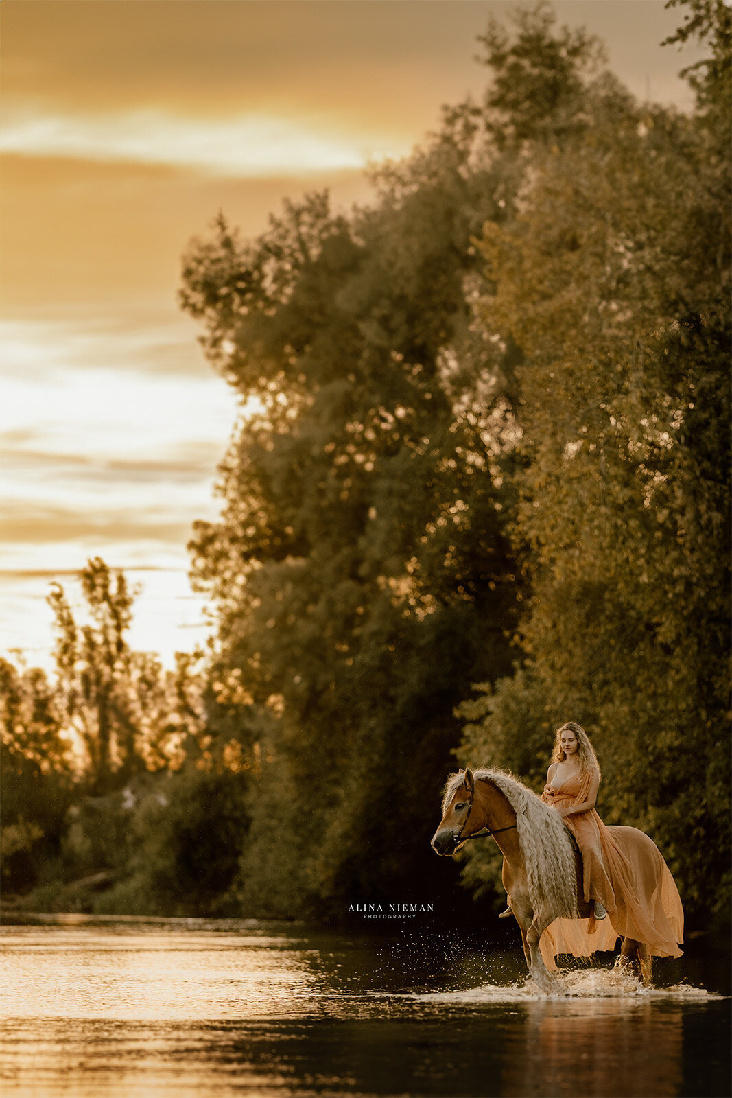 Into the water | fotoshoot samen met je paard | AlinaNiemanPhotography | Paarden fotograaf Nederland