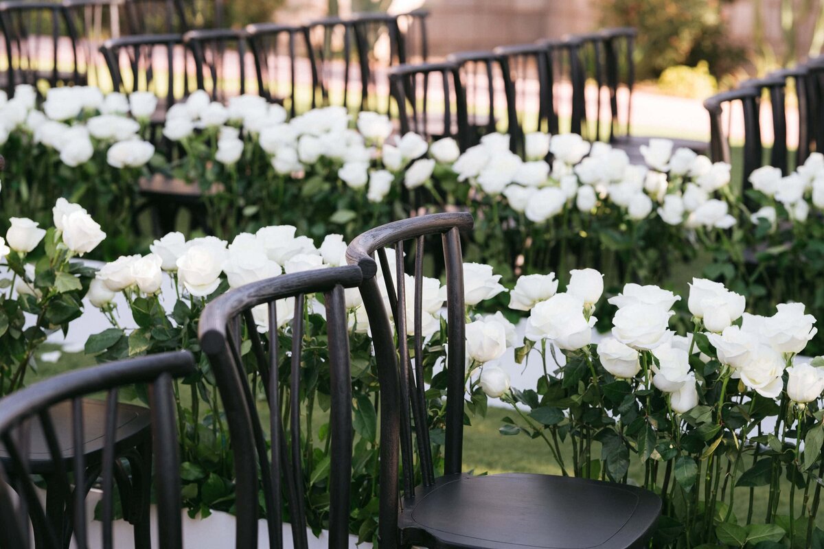Rows of lush white roses lining black chairs at an outdoor Arizona Biltmore wedding ceremony space.