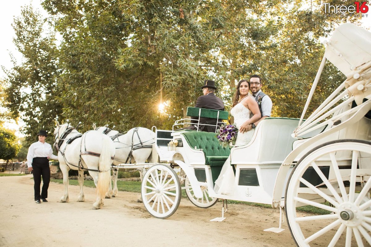 Bride and Groom set to depart on a horse driven buggy