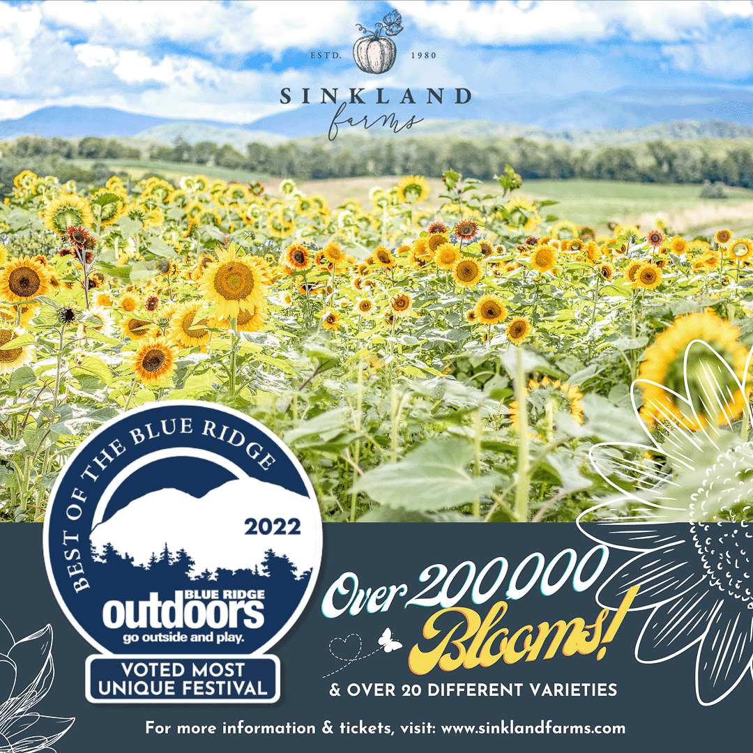 Sinkland-Farms_sunflower-festival_blue-ridge-mountains_sm-