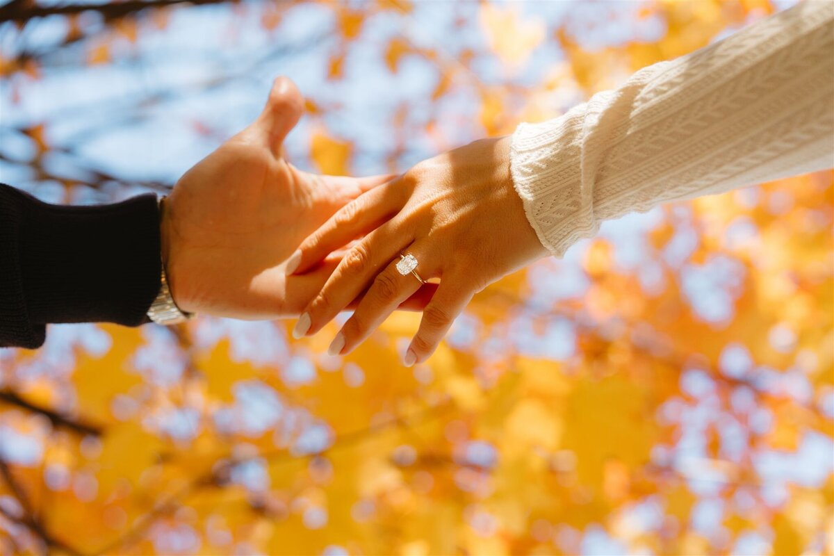 Kristi&Mark-Engagement-Session-Boston-76_websize