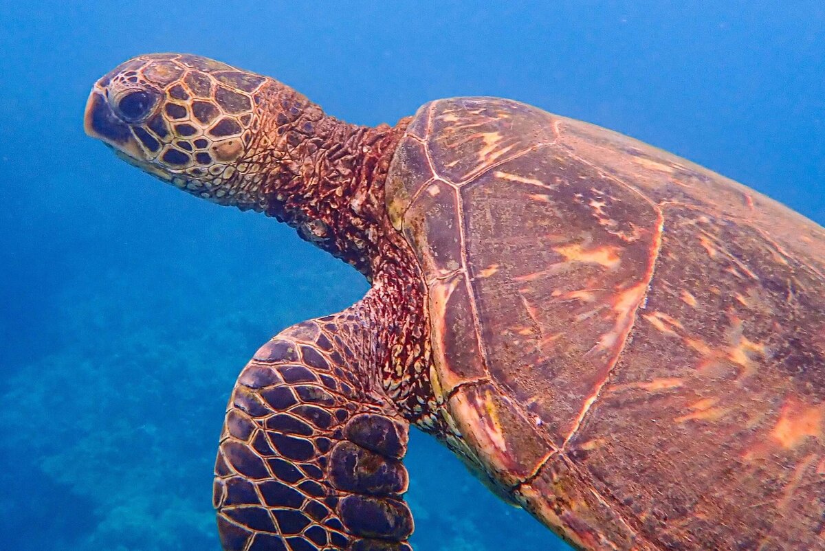 ZBB Productions - Gallery7