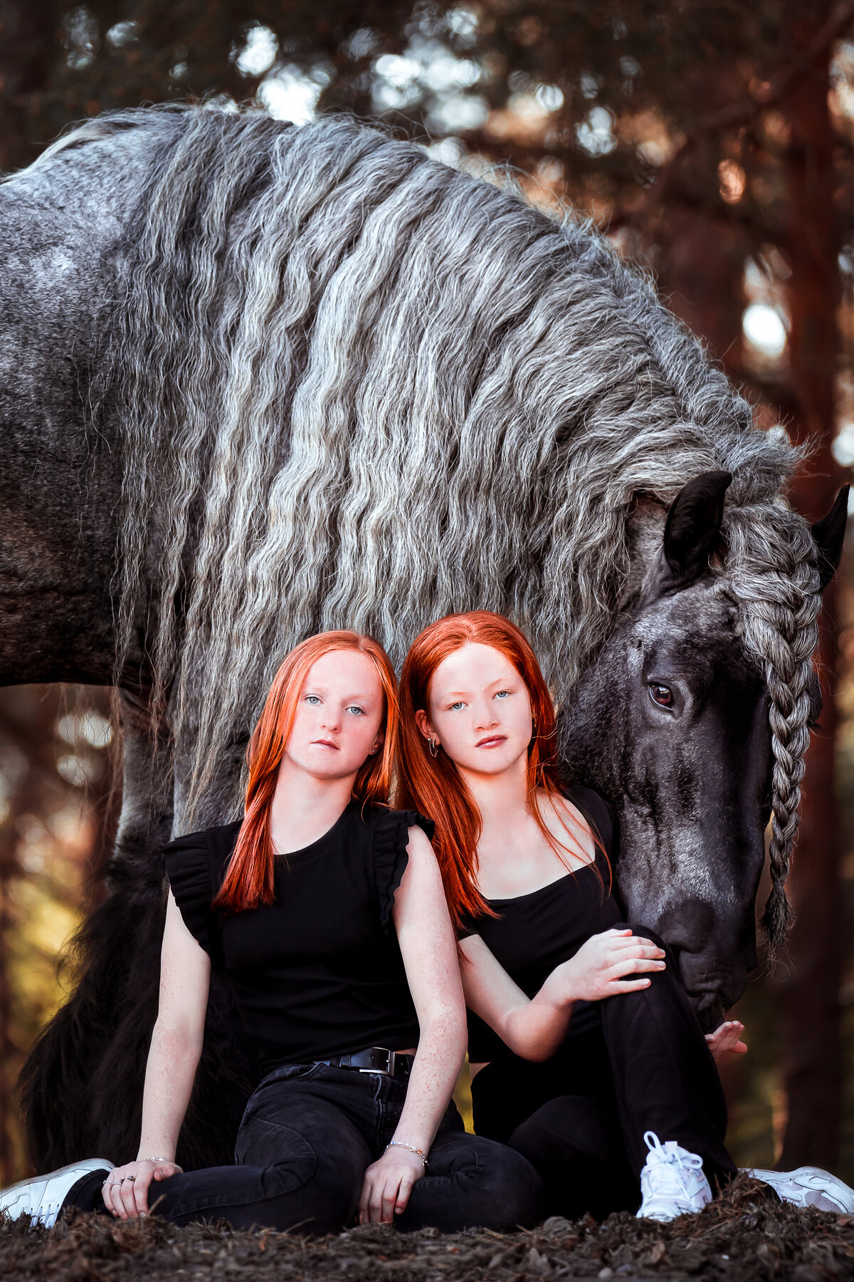 DSC08881-Edit-Edit