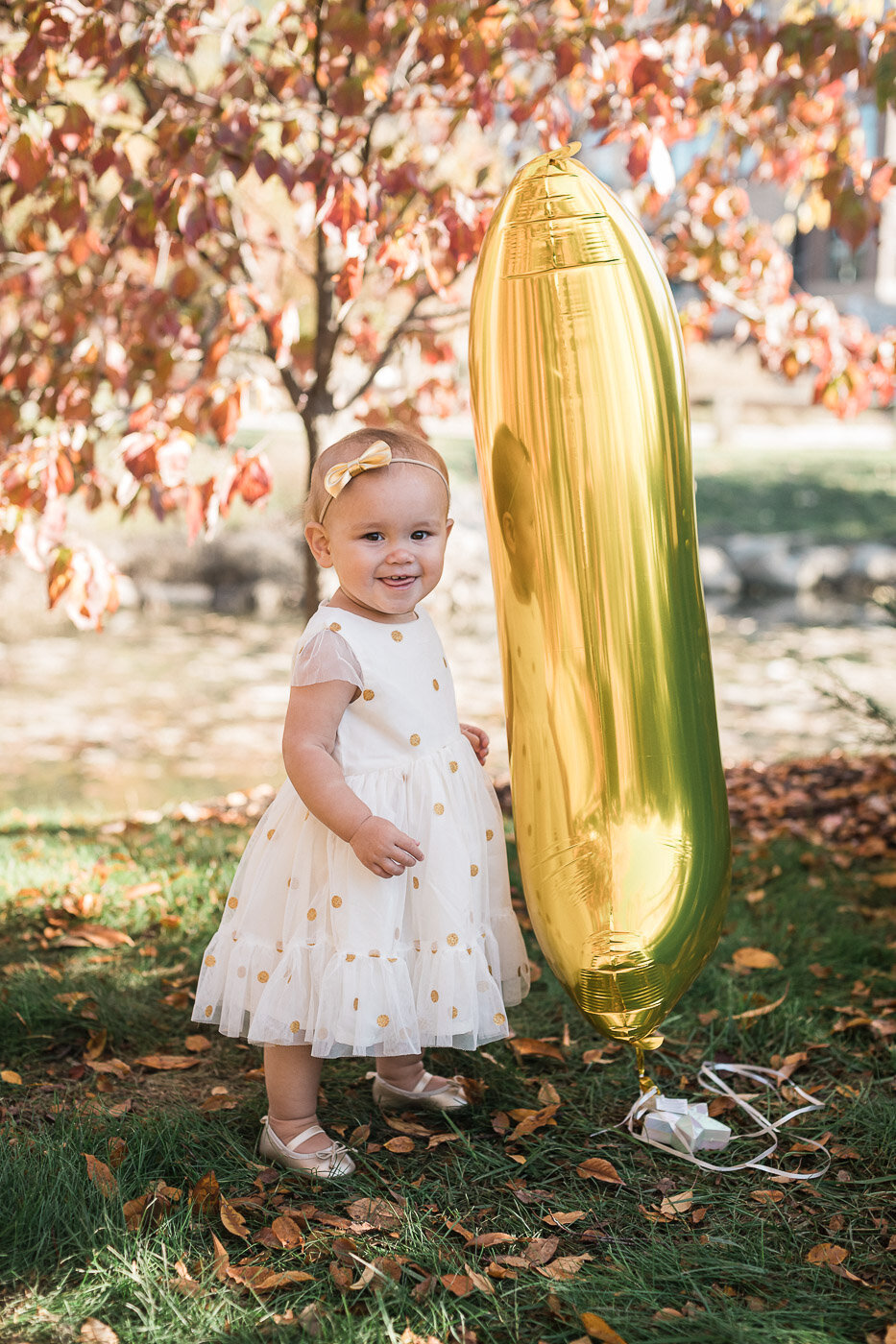 carmel-indiana-family-photographer-fall-golden-hour-21