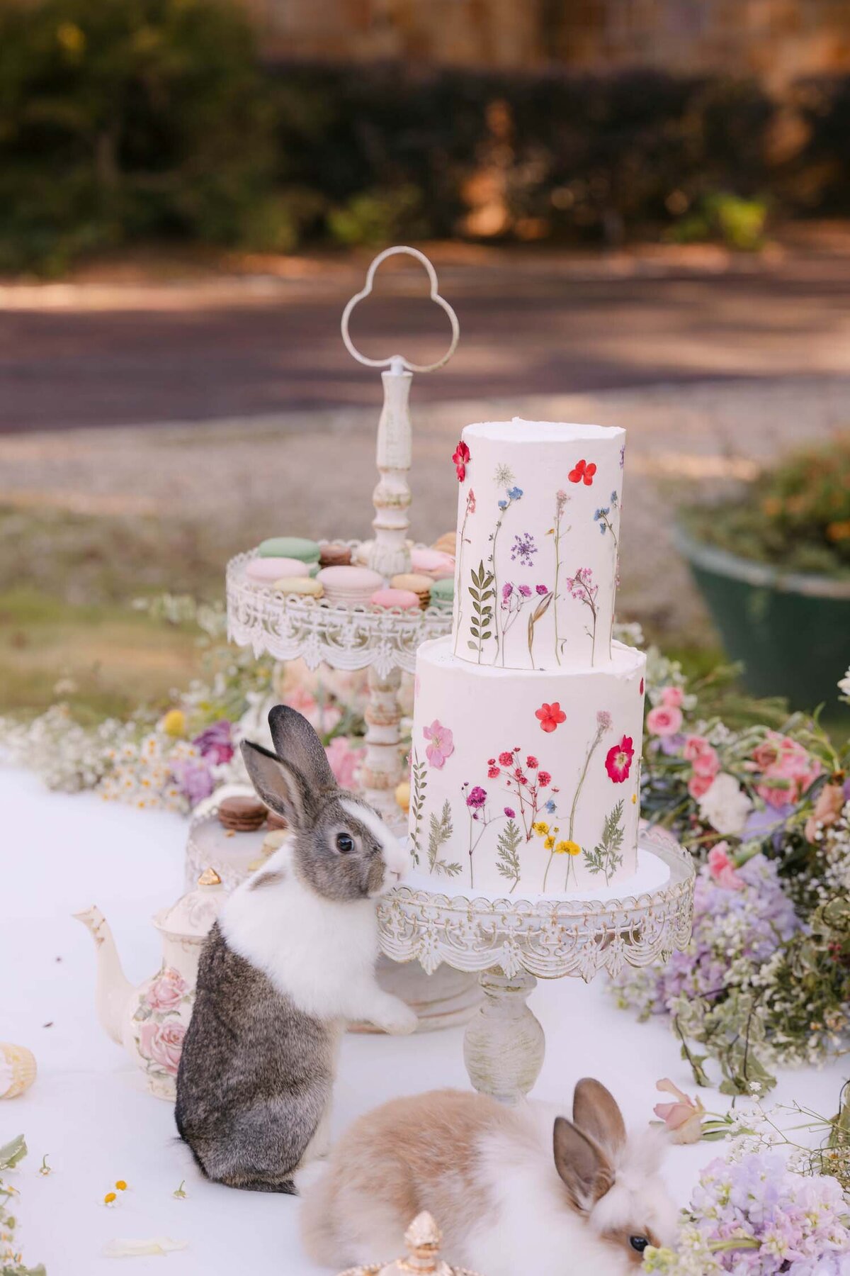 dove_and_fox_editorial_photography_raleigh_north_carolina_fashion_weddings_east_coast_56
