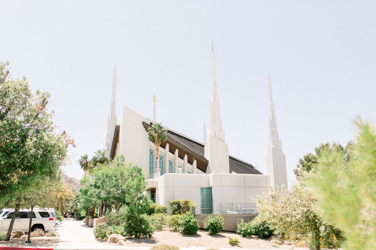 Andrew + Nicole Wedding-1005