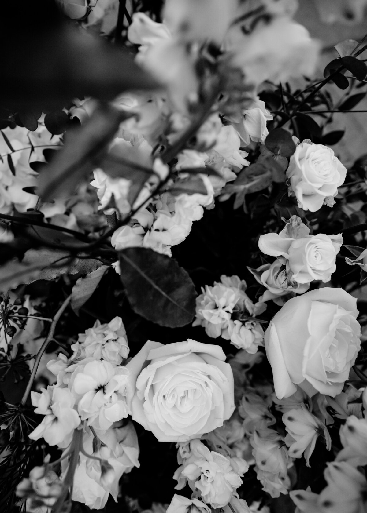 01272024_Lauren+KaleWedding_StonetreeNovatoCA_AnjaJensenPhotography-939