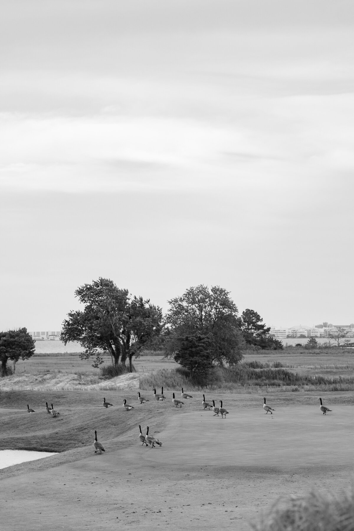 2025-06-08_0165