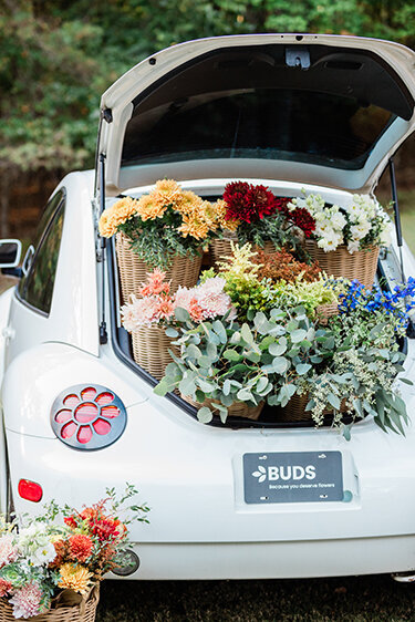 Horn Photography & Design Buds - 0040_