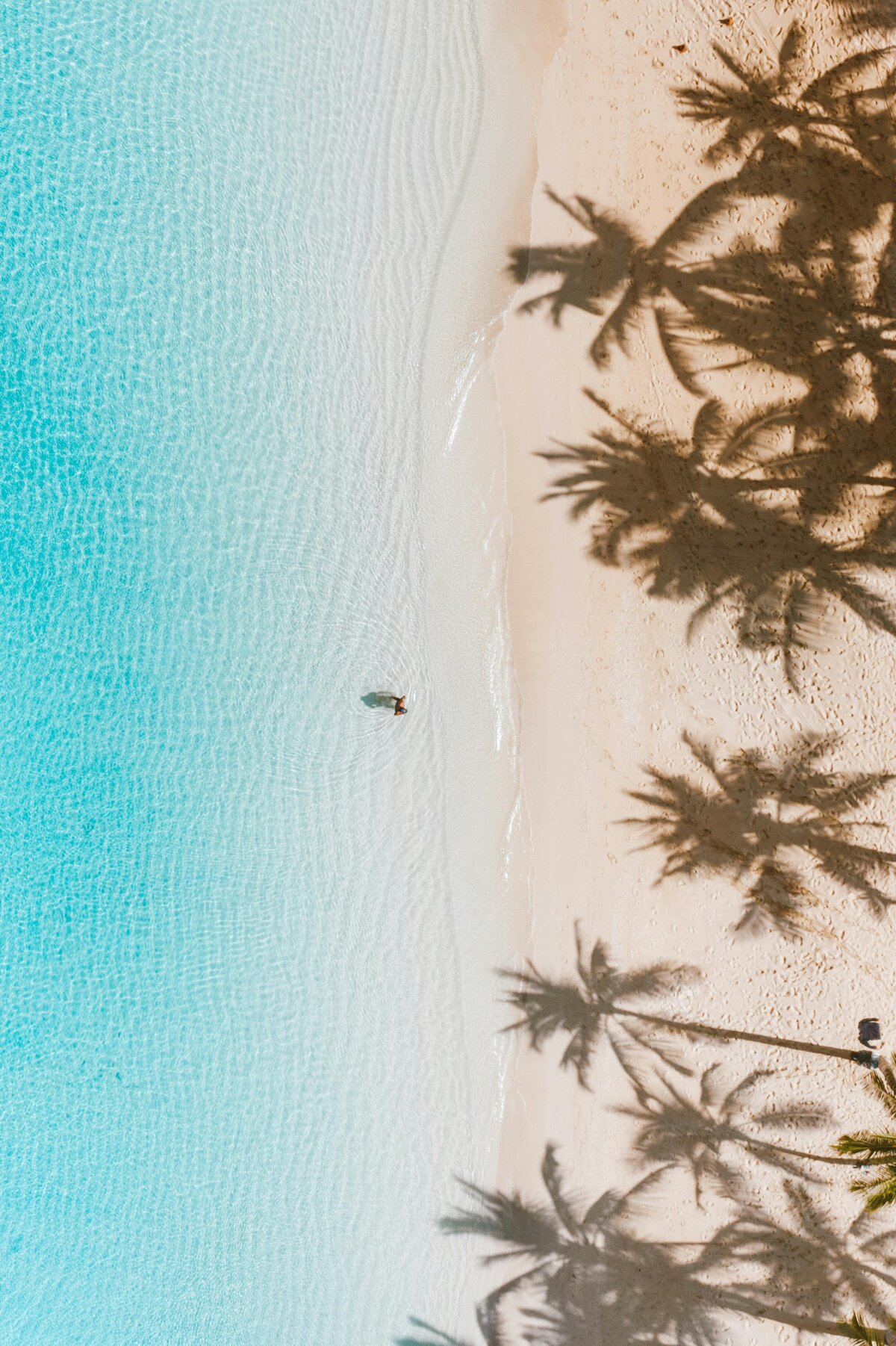 pexels-jess-vide-4602277