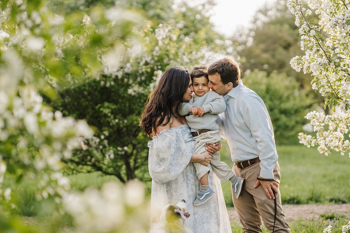 parents snuggle toddler boy among the spring blossoms