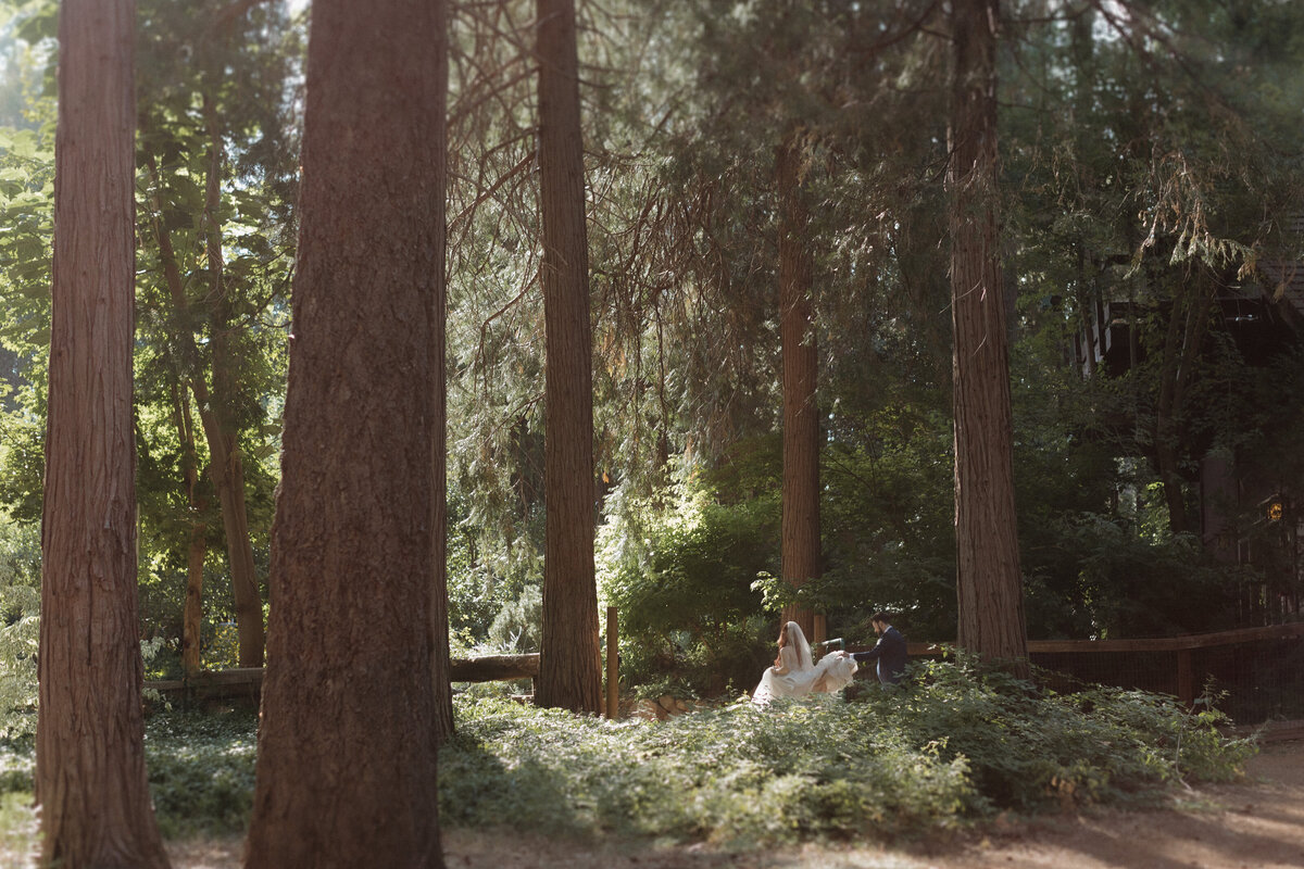 Cinematic wedding photography of a couple in a lush forest setting, embracing in the sunlight. A documentary-style wedding photo capturing intimate, natural moments.