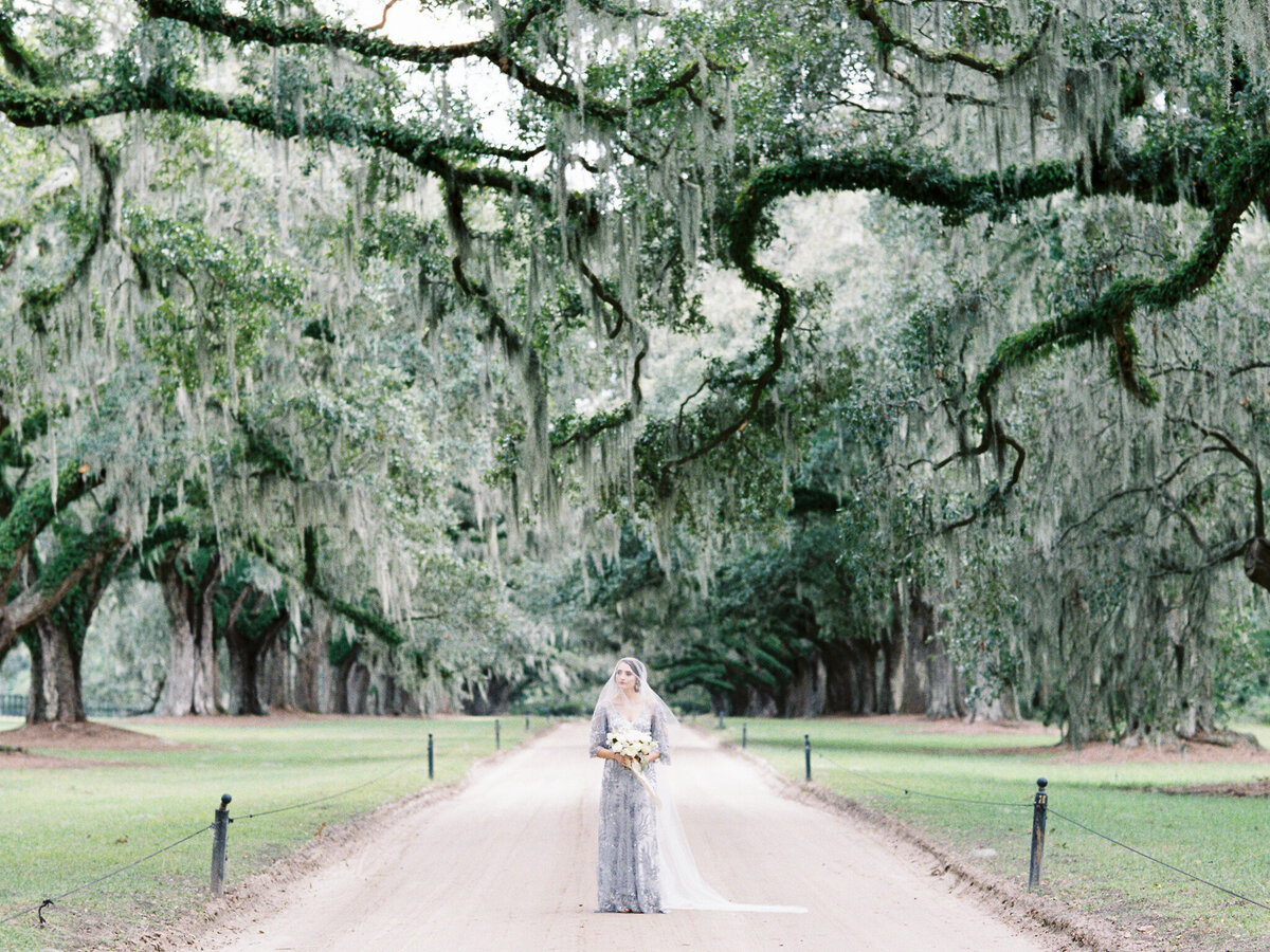 Charleston live oak tree wedding Boone Hall