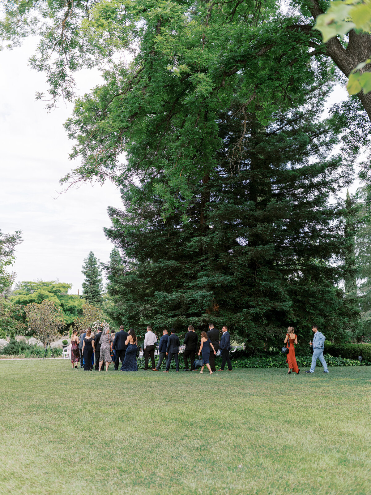Park Winters Wedding Photo-64